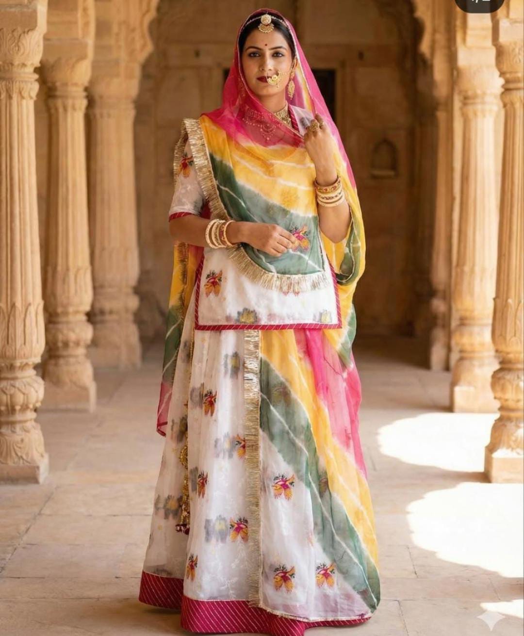 Fagun Chidiya suit-808