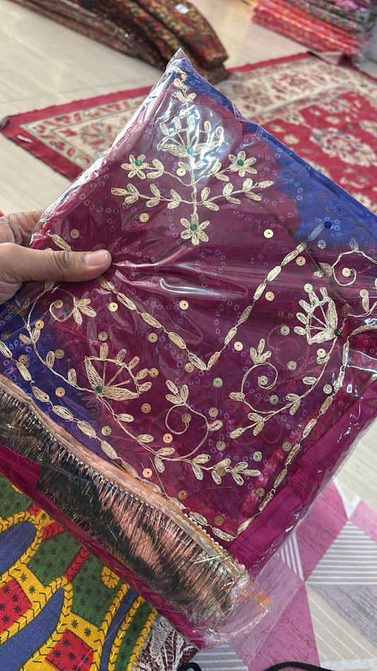 Pitten 2000 (Rani with Blue)-350